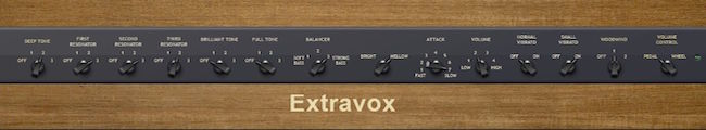 ExtraVox copy.jpg